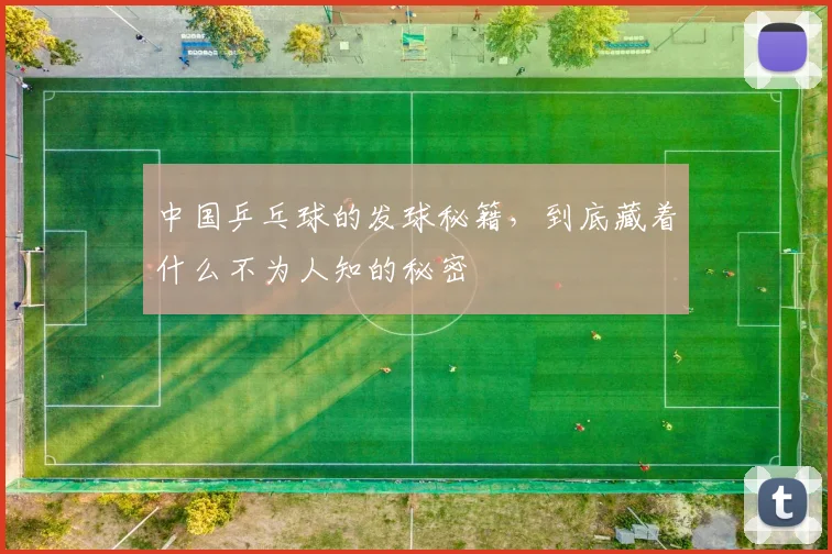 中国乒乓球的发球秘籍,到底藏着什么不为人知的秘密