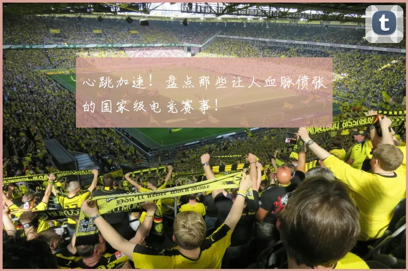 心跳加速！盘点那些让人血脉偾张的国家级电竞赛事！